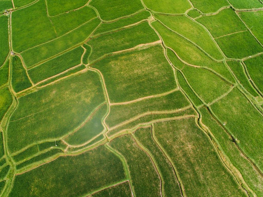 Parselasyon İşlemi Yapılmamış Alanlarda İfraz ve Tevhit&nbsp;İşlemi
